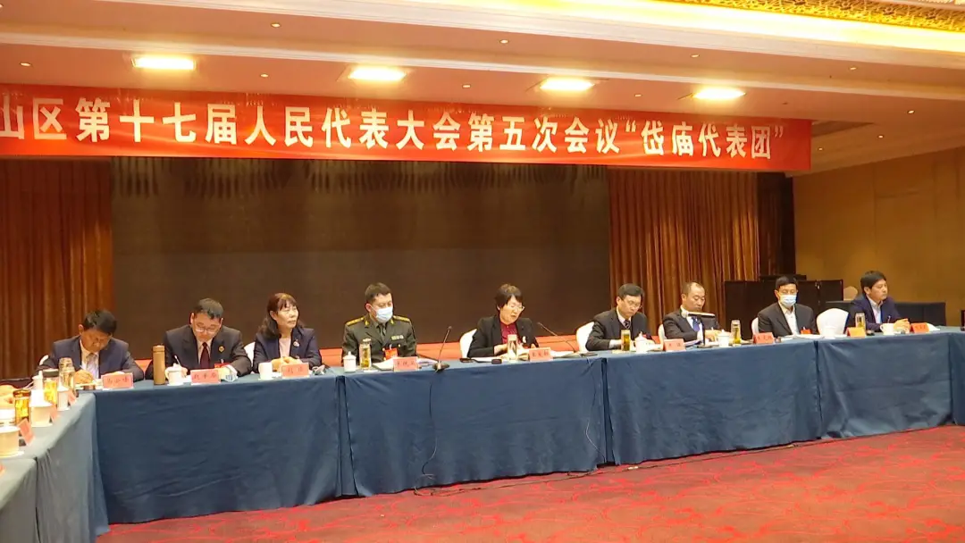 泰山区人民政府 泰山区要闻 王爱新参加岱庙代表团审议