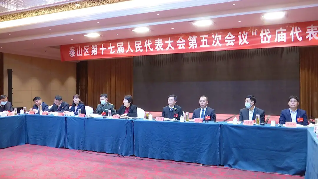 泰山区人民政府 泰山区要闻 王爱新参加岱庙代表团审议