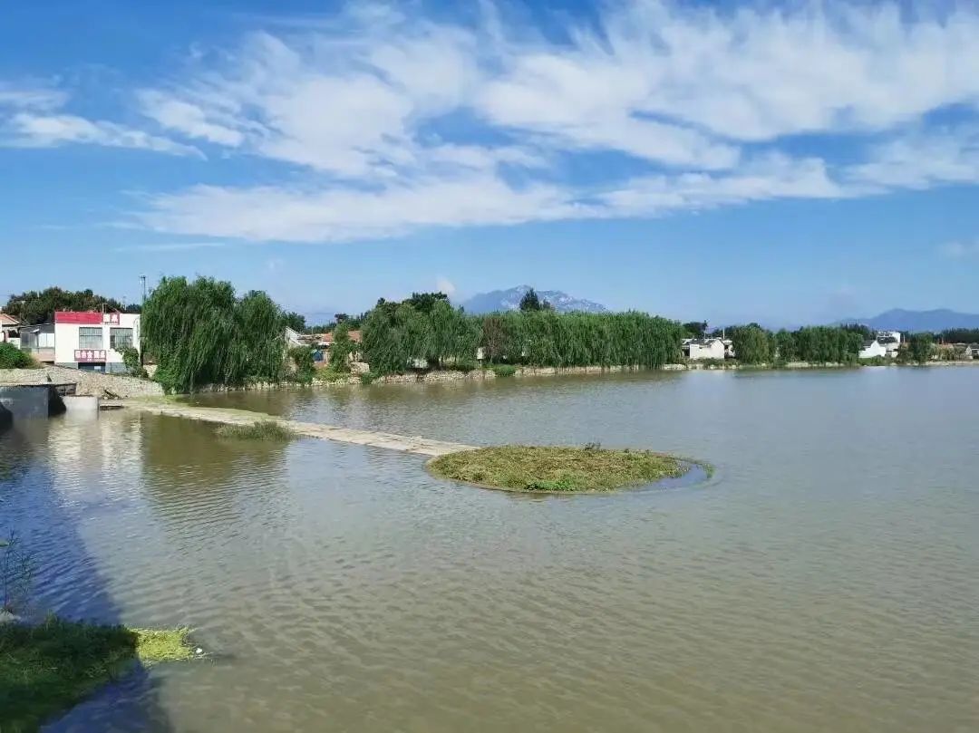 诗画山东丨泰安邱家店镇：远山绿意盎然 湿地风景如画_泰安要闻_泰安_齐鲁网