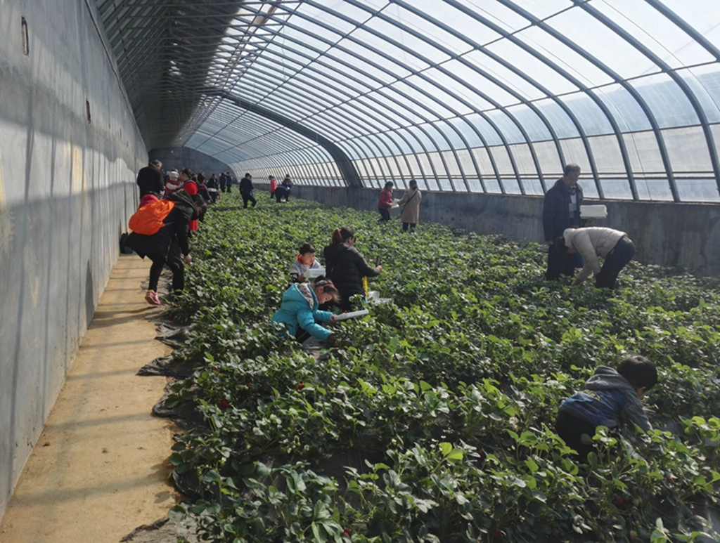 叶家庄生态休闲景区国家2a级景区